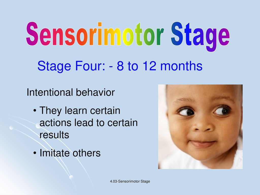 Sensorimotor stage four is the stage of best sale